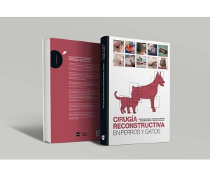 Cirugía reconstructiva en perros y gatos